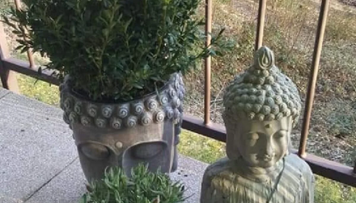 Das Bild zeigt Dekoration auf der Terrasse | © DAV