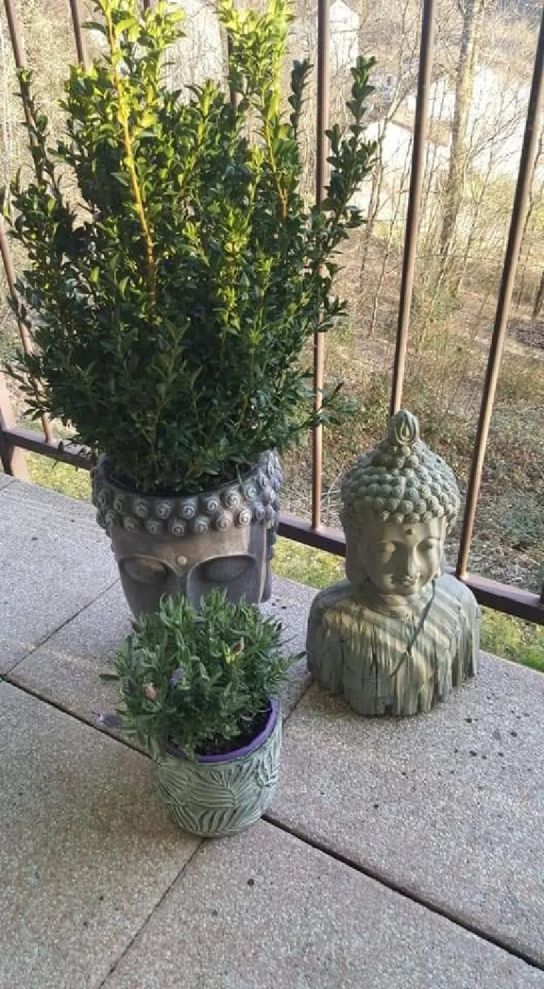 Das Bild zeigt Dekoration auf der Terrasse | © DAV