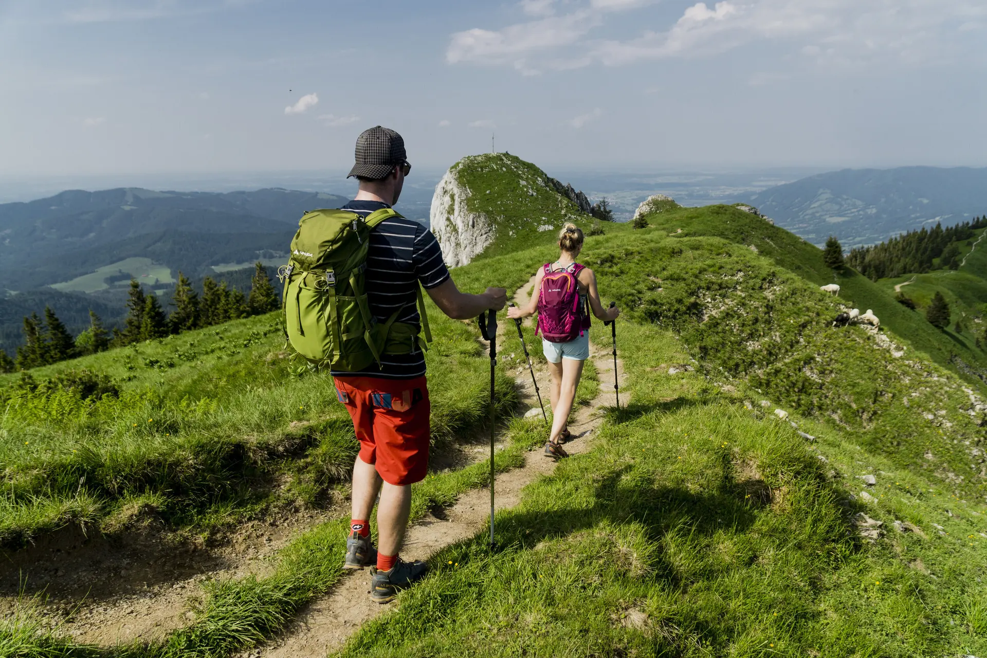 Zwei Wanderer auf den grünen Berghängen der Chiemgauer Alpen | © DAV/Hans Herbig